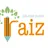 Logo - Colégio Curso Geração Raiz Logo - Colégio Curso Geração Raiz