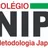 Logo - Colégio Nippo