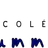 Logo - Colégio Drummond Uberlândia