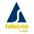 Logo - Curso E Colégio Solução