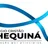 Logo - Colégio Cristão Shequiná
