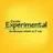 Logo - Escola Experimental