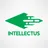 Logo - Colégio E Curso Intellectus - Unidade Freguesia