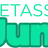 Logo - Cetass Junior