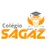 Logo - Colégio Sagaz