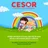 Logo - Cesor