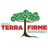 Logo - Escola Terra Firme