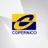 Logo - Colégio Copérnico