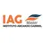 Logo - Instituto Arcanjo Gabriel