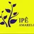 Logo - Escola Ipê Amarelo