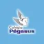 Logo - Logo Colégio Pégasus