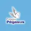 Logo - Logo Colégio Pégasus - Unidade Ii