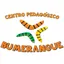 Logo - Logo Centro Pedagógico Bumerangue