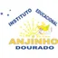 Logo - Logo Instituto Educacional Anjinho Dourado