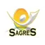 Logo - Logo Centro Pedagógico Sagres