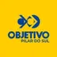 Logo - Logo Colégio Pilar do Sul Objetivo