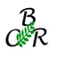 Logo - Logo Colégio Batista De Rondonópolis