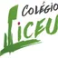 Logo - Logo Colégio Liceu Barretos /liceu Tec