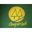 Logo - Logo Cooperativa Educacional De Salinas – COOPESAL