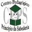 Logo - Logo Centro Pedagógico Principio Da Sabedoria
