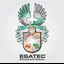 Logo - Logo Escola Esatec