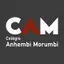 Logo - Logo Cam - Colégio Anhembi Morumbi