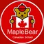 Logo - Logo Maple Bear Curitiba