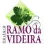 Logo - Logo Colégio Ramo Da Videira