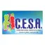 Logo - Logo Centro Educacional Saberes do Aquarela – CESA