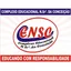 Logo - Logo Complexo Educacional Nossa Senhora Da Conceição