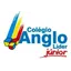 Logo - Logo Colégio Anglo Líder Júnior