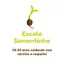 Logo - Logo Sementinha Instituto Educacional