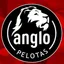 Logo - Logo Anglo Pelotas