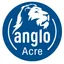 Logo - Logo Escola Primeiro Passo Anglo Acre