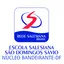 Logo - Logo Escola Salesiana São Domingos Sávio
