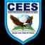 Logo - Logo Centro Educacional Excelência Do Saber