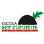 Logo - Logo Escola Ser Curumim