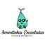 Logo - Logo Sementinhas Encantadas Escola Infantil