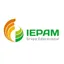 Logo - Logo Iepam- Grupo Educacional