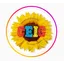 Logo - Logo Ceig - Centro Educacional Girassol - Cidade Jardim