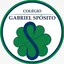 Logo - Logo Colégio Gabriel Spósito
