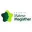 Logo - Logo Matese Magisther Colegio
