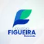 Logo - Logo Colégio Figueira Pastorzinho