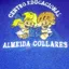 Logo - Logo Centro Educacional Almeida Collares