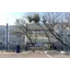 Logo - Logo colegio dom bosco batel - educacao infantil ensino fundamental e medio