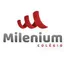 Logo - Logo colegio milenium são mateus do sul