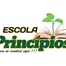 Escola Princípios
