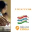 Escola De Educação Infantil Lápis De Cor