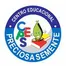 Centro Educacional Preciosa Semente