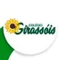 Colégio Girassóis